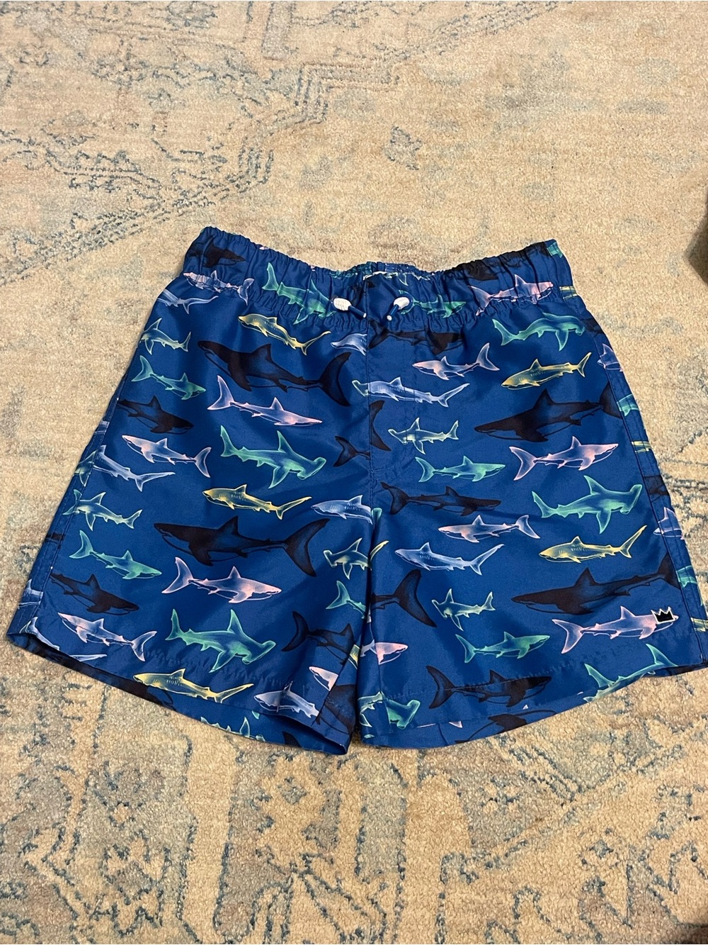 Kids Blue Shark Print Swim Trunks